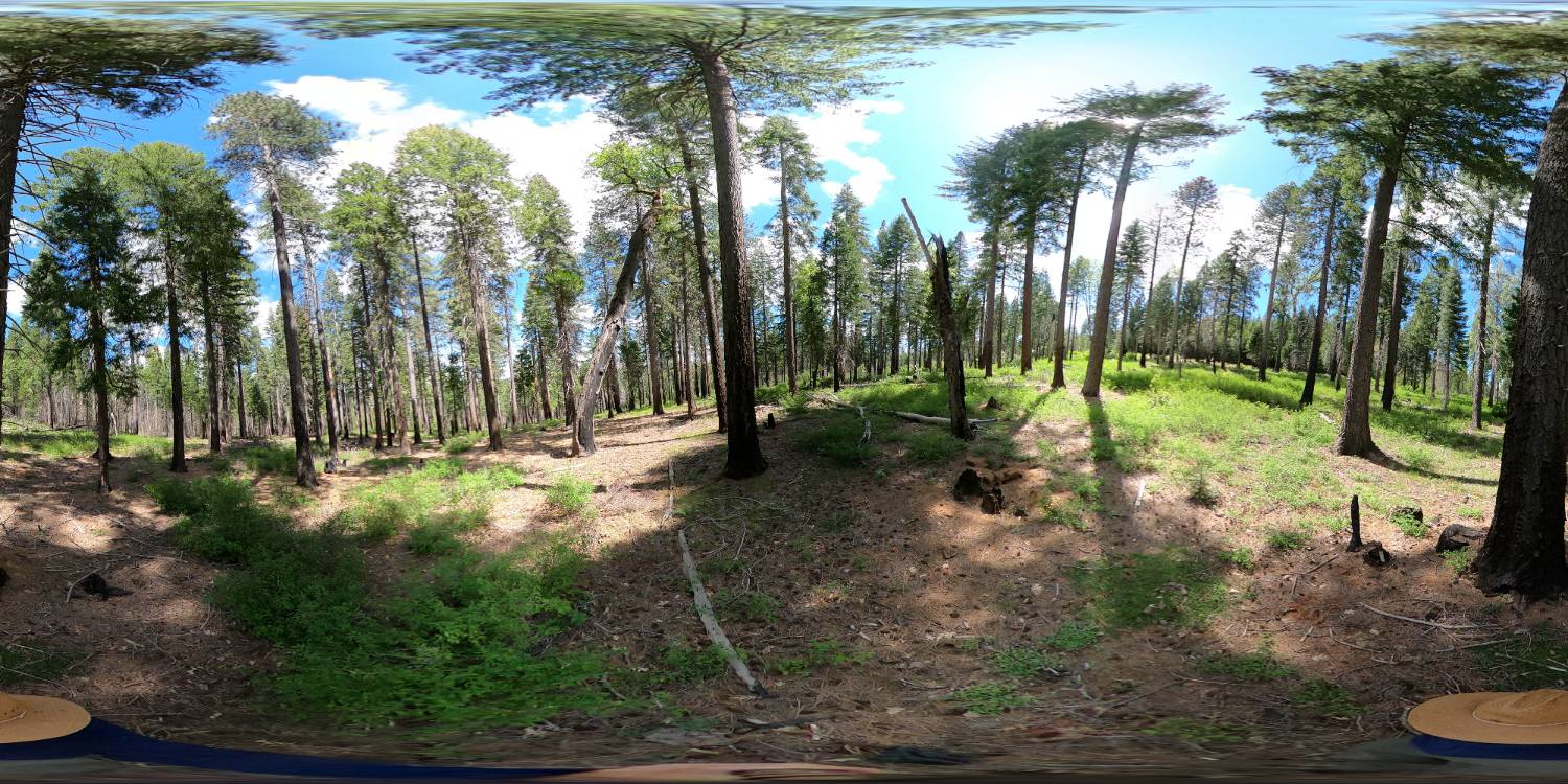 Equirectangular